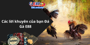 Các lời khuyên của bạn Đá Gà E88