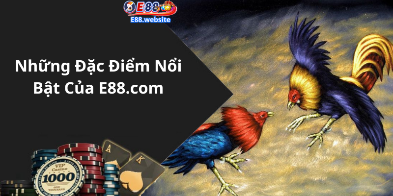 Những Đặc Điểm Nổi Bật Của E88.com