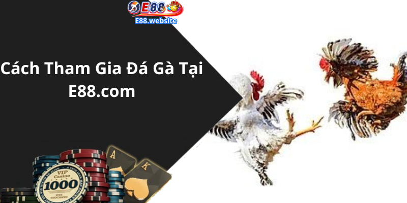 Cách Tham Gia Đá Gà Tại E88.com