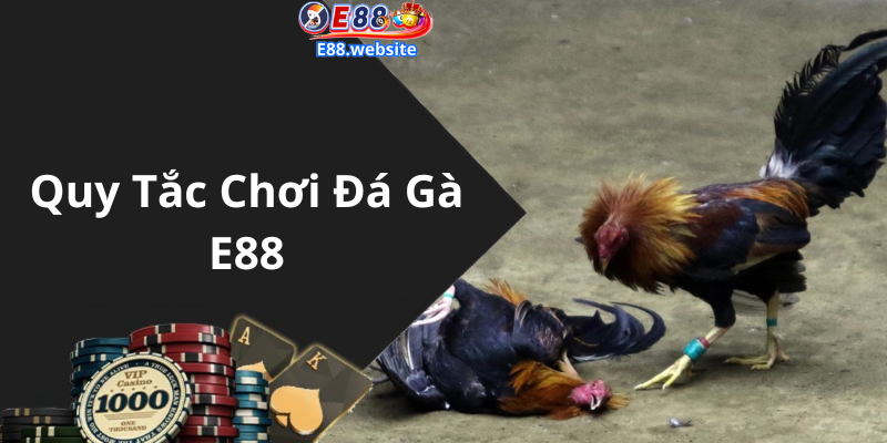 Quy Tắc Chơi Đá Gà E88