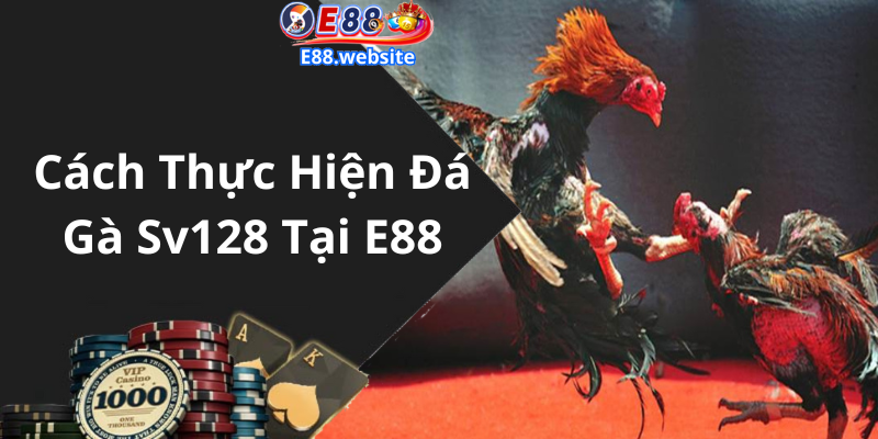 Cách Thực Hiện Đá Gà Sv128 Tại E88