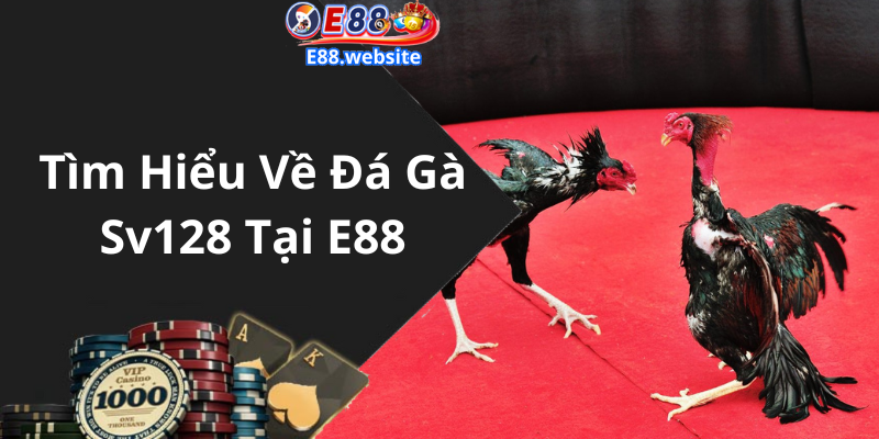 Tìm Hiểu Về Đá Gà Sv128 Tại E88