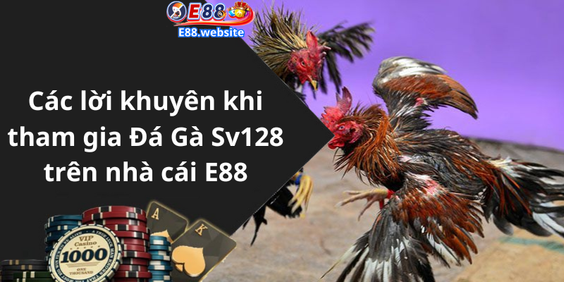 Các lời khuyên khi tham gia Đá Gà Sv128 trên nhà cái E88