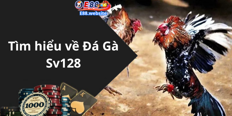 Tìm hiểu về Đá Gà Sv128