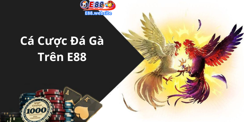 Cá Cược Đá Gà Trên E88