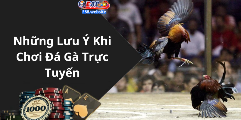 Những Lưu Ý Khi Chơi Đá Gà Trực Tuyến