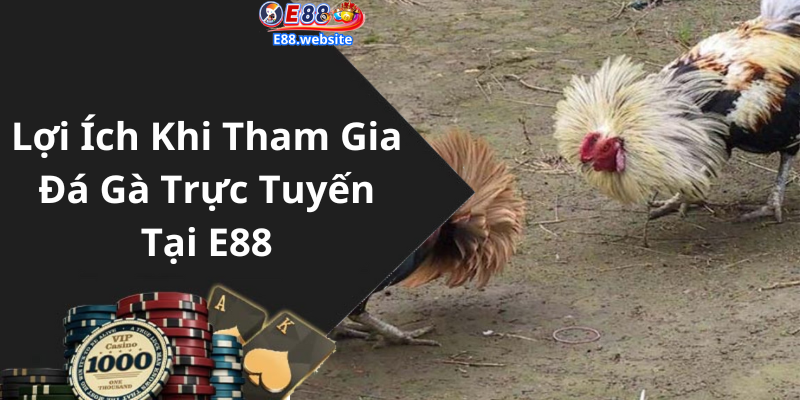 Lợi Ích Khi Tham Gia Đá Gà Trực Tuyến Tại E88