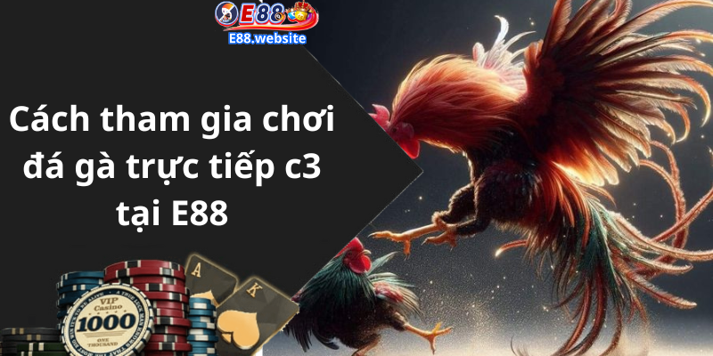 Cách tham gia chơi đá gà trực tiếp c3 tại E88