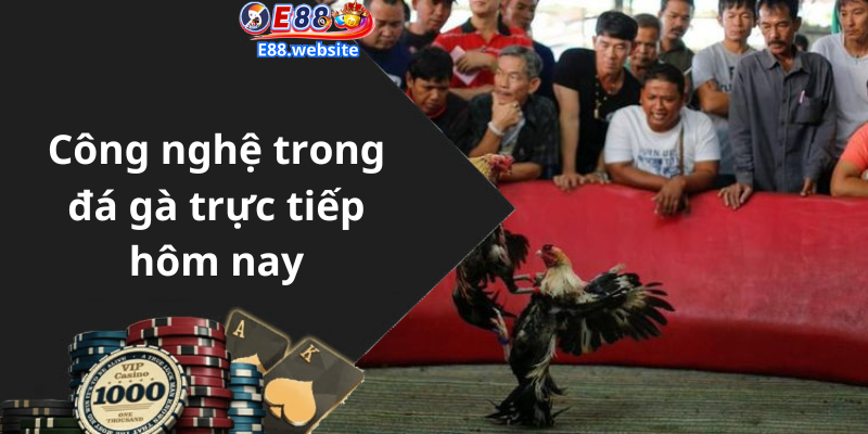 Công nghệ trong đá gà trực tiếp hôm nay