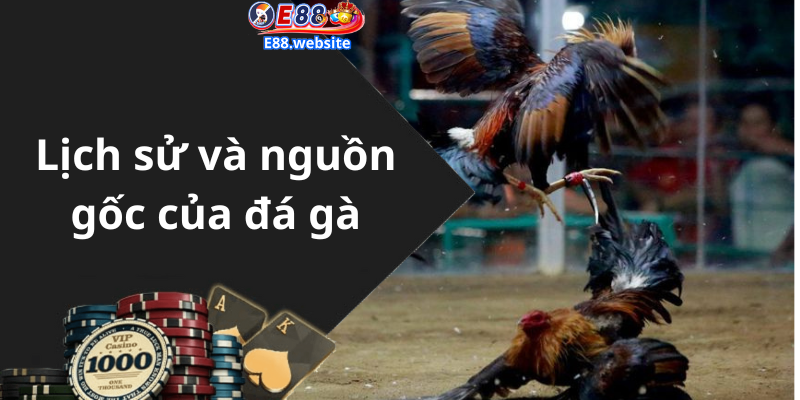 Lịch sử và nguồn gốc của đá gà