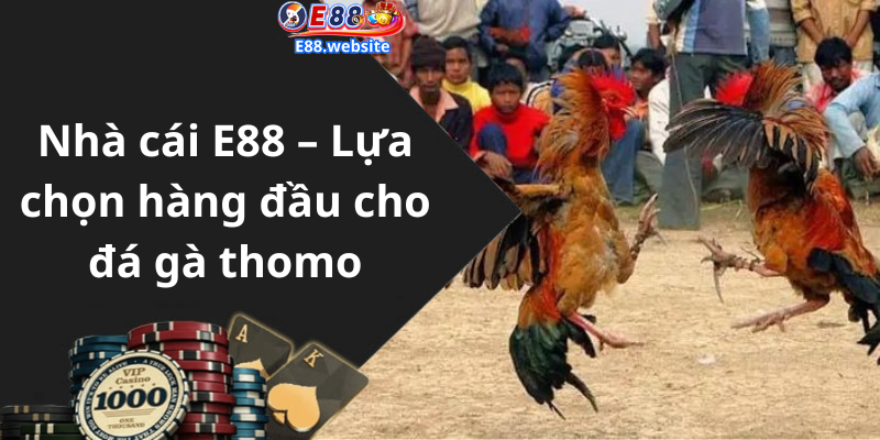 Nhà cái E88 – Lựa chọn hàng đầu cho đá gà thomo