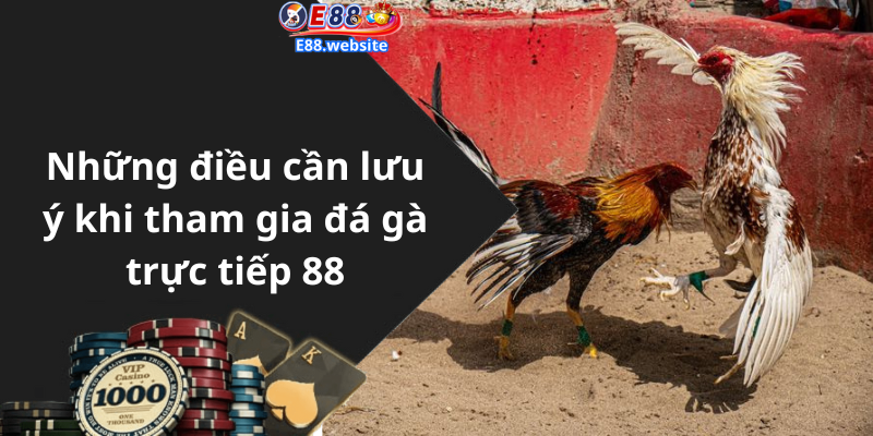 Những điều cần lưu ý khi tham gia đá gà trực tiếp 88