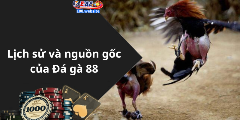 Lịch sử và nguồn gốc của Đá gà 88