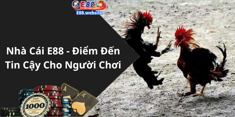 Nhà Cái E88 - Điểm Đến Tin Cậy Cho Người Chơi