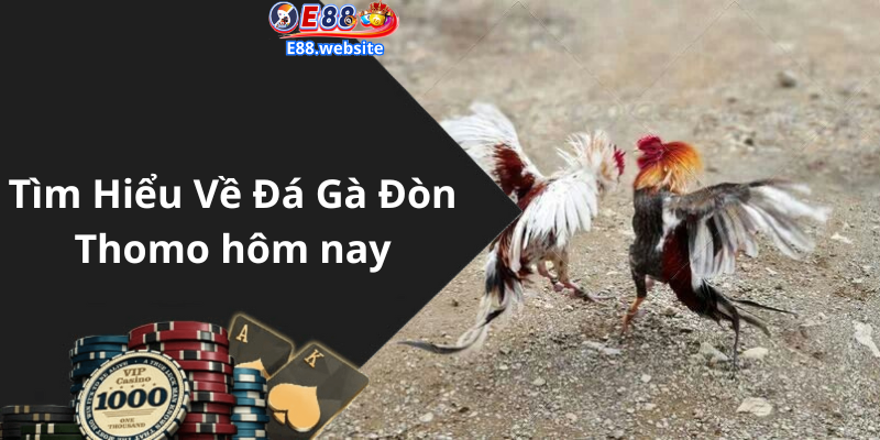 Tìm Hiểu Về Đá Gà Đòn Thomo hôm nay