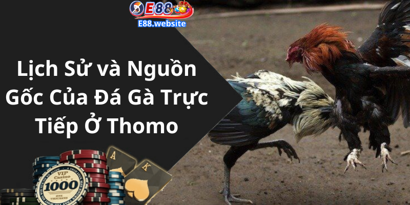 Lịch Sử và Nguồn Gốc Của Đá Gà Trực Tiếp Ở Thomo